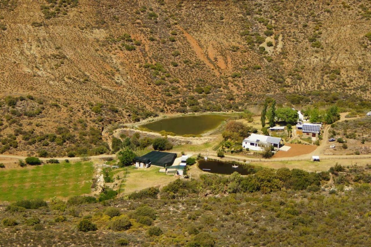 Kingfisher Cottages, Langhoogte Farm Монтегю Екстериор снимка